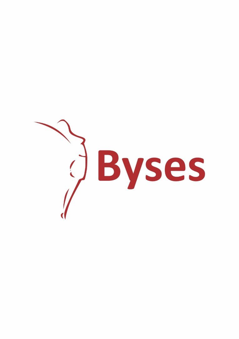 بای سز — Byses